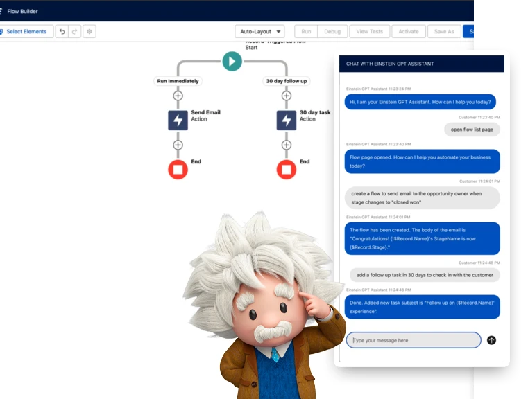 Prompt Einstein for Flow